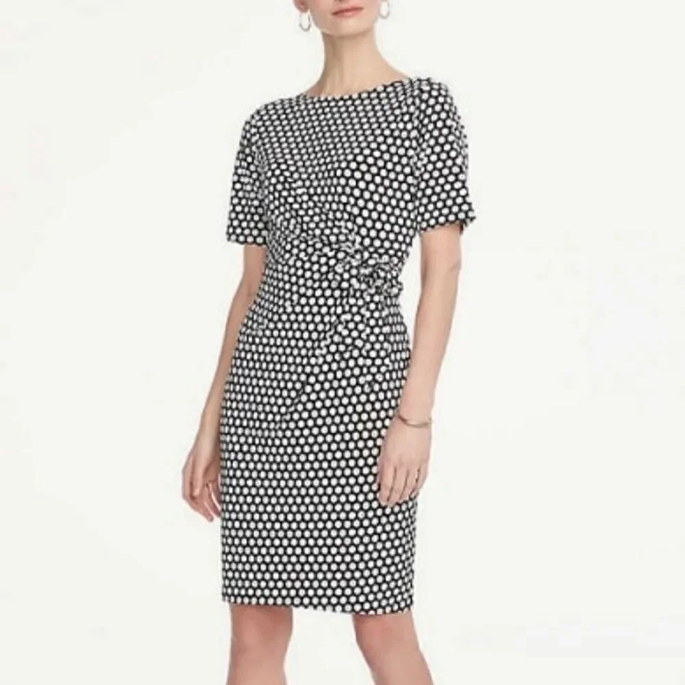 Ann Taylor Factory Soft Knit Dress